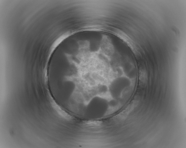 X0000112071466200908111422