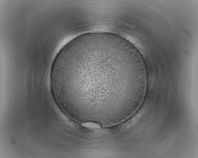 X0000112071469200908111422