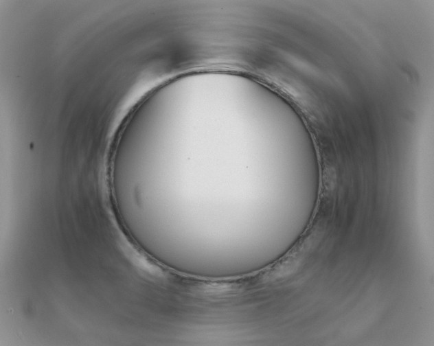 X0000112071470200908111422