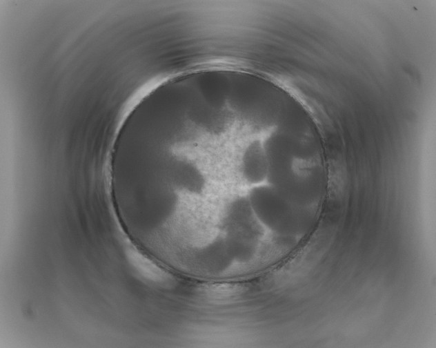 X0000112071474200908111422