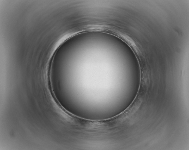 X0000112071475200908111422