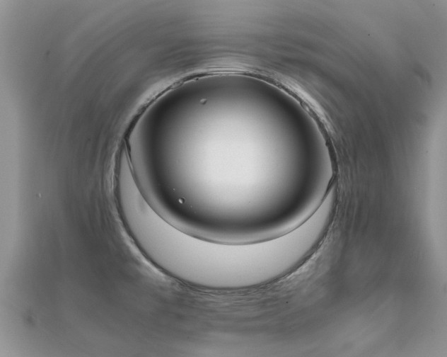 X0000112071477200908111422