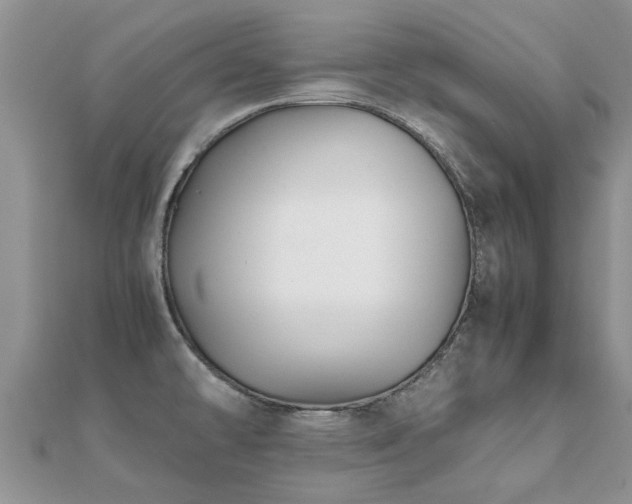 X0000112071478200908111422