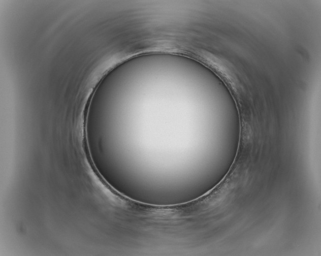 X0000112071479200908111422