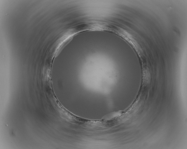 X0000112071481200908111422