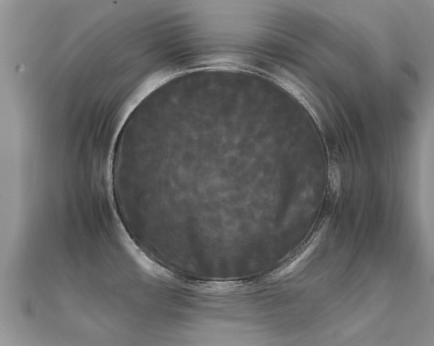 X0000112071482200908111422