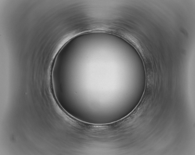 X0000112071483200908111422