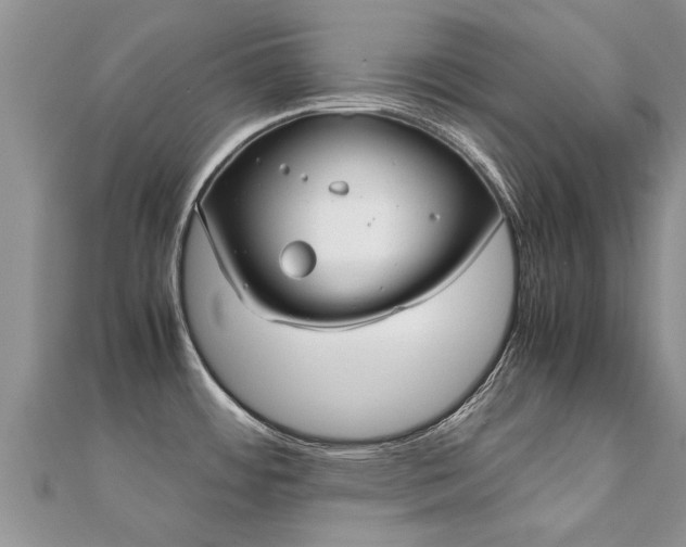 X0000112071484200908111422