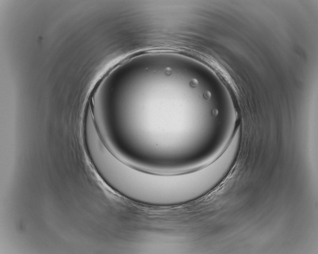 X0000112071485200908111422