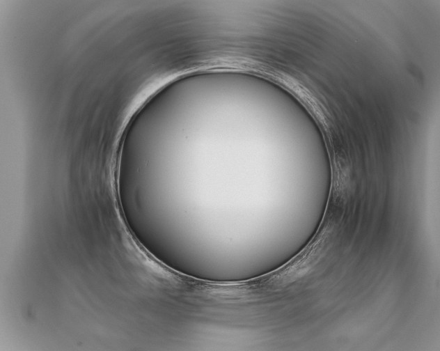 X0000112071486200908111422