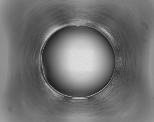 X0000112071487200908111422