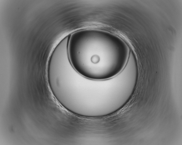 X0000112071488200908111422