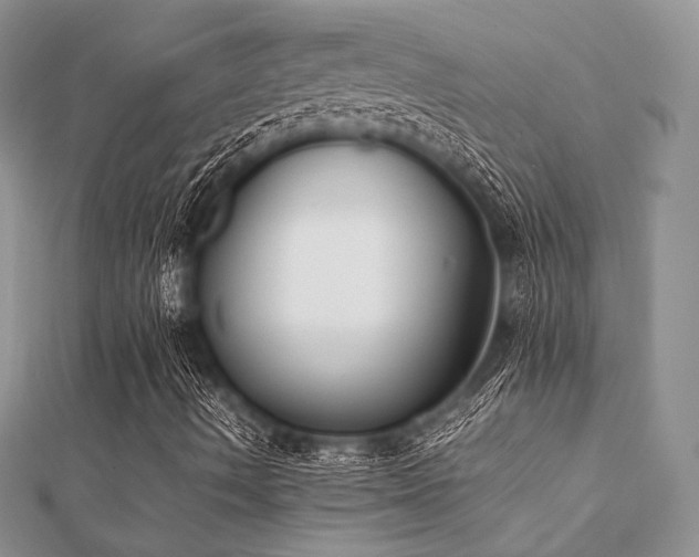 X0000112071490200908111421