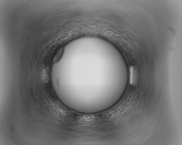 X0000112071491200908111421