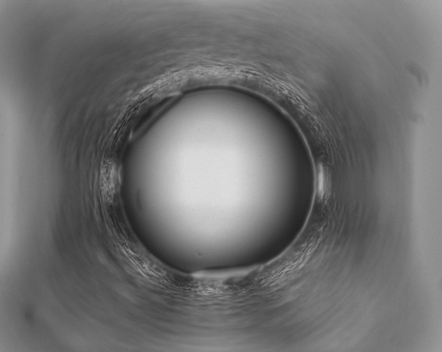 X0000112071492200908111421