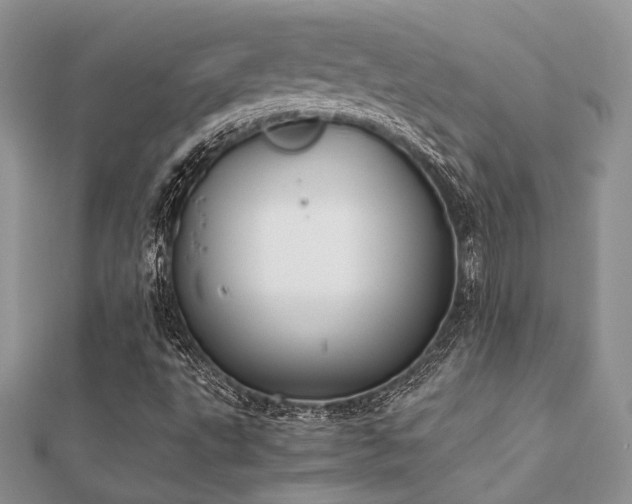 X0000112071495200908111421