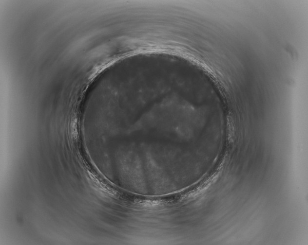 X0000112071497200908111421