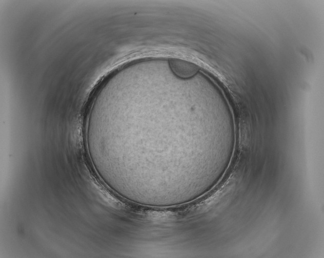 X0000112071498200908111421