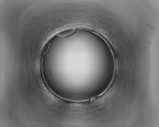 X0000112071500200908111421