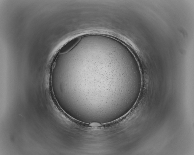 X0000112071504200908111421