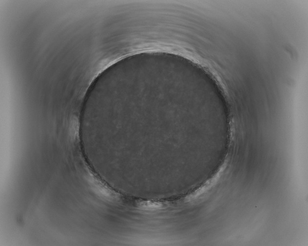 X0000112071505200908111421