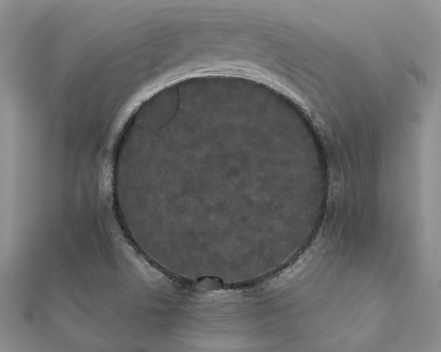 X0000112071506200908111421