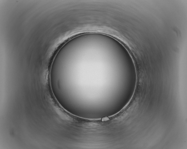 X0000112071507200908111421