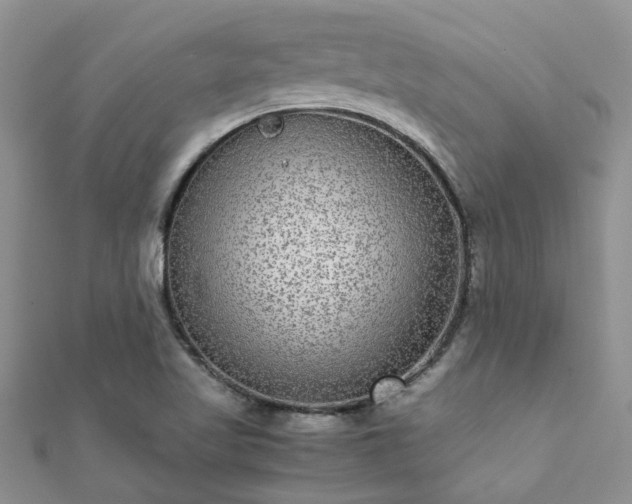 X0000112071509200908111422