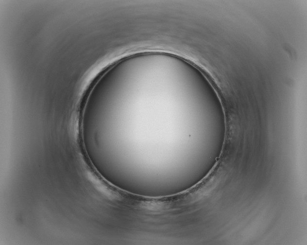 X0000112071511200908111422