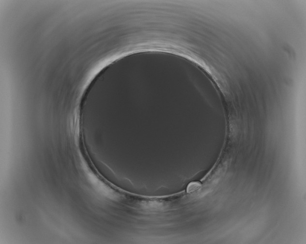 X0000112071515200908111422