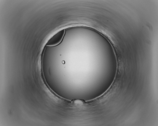 X0000112071516200908111422