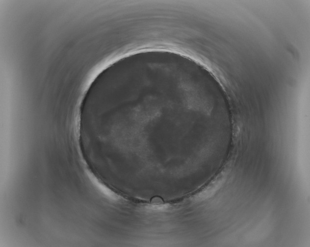 X0000112071519200908111422