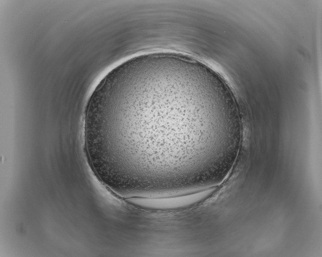 X0000112071524200908111422