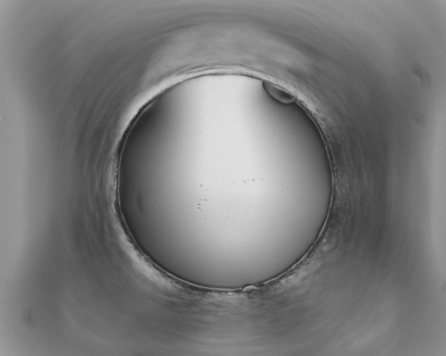 X0000112071526200908111422