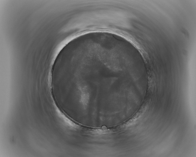 X0000112071527200908111422