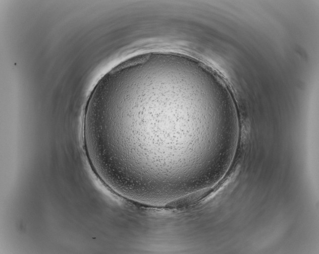 X0000112071528200908111422