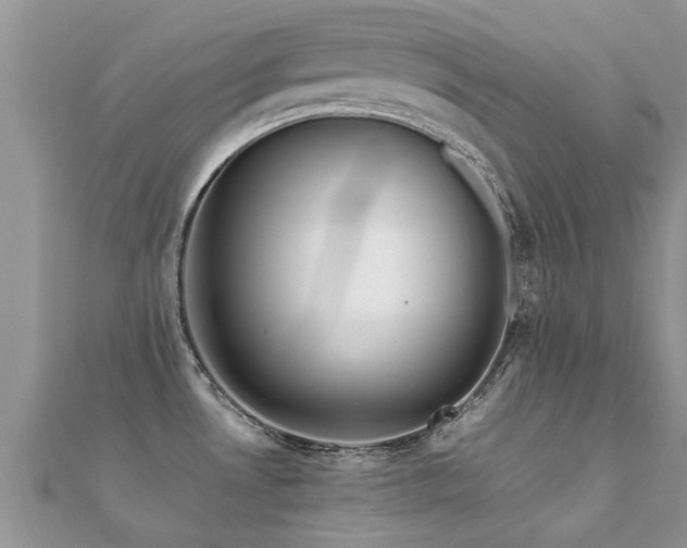 X0000112071530200908111422