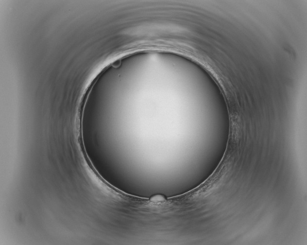 X0000112071531200908111422