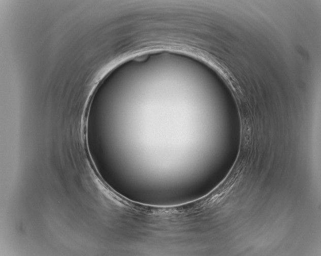 X0000112071535200908111422