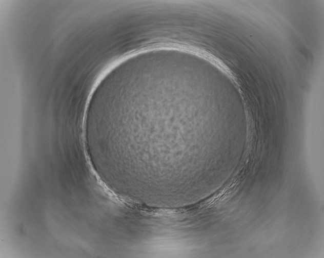 X0000112071536200908111422