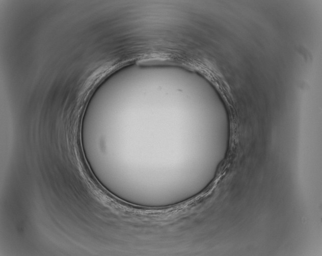X0000112070001200908181230