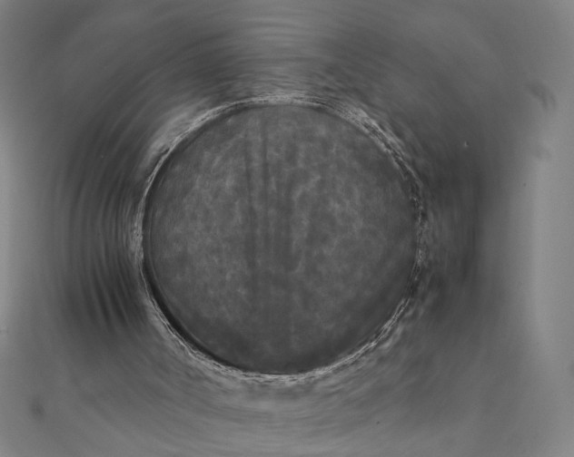 X0000112070002200908181230
