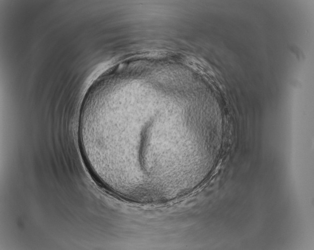 X0000112070003200908181230