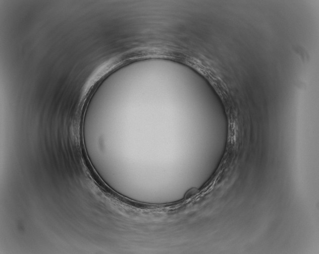X0000112070004200908181230