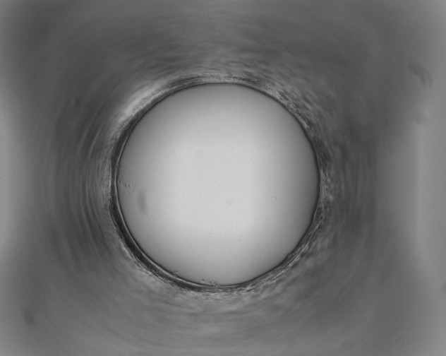 X0000112070005200908181230