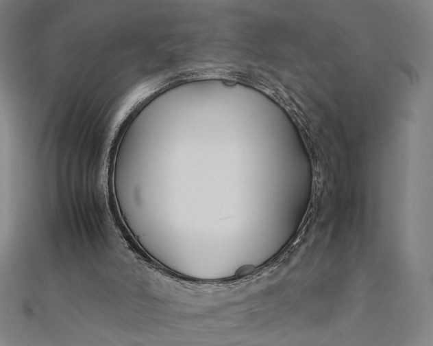 X0000112070006200908181230