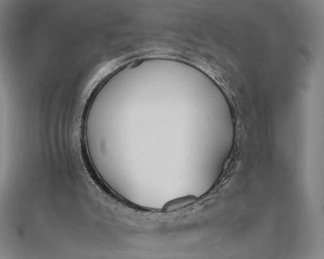 X0000112070007200908181230