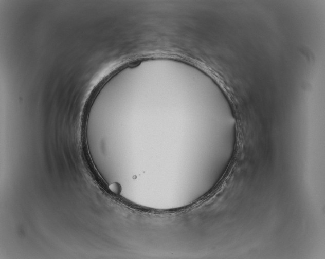 X0000112070008200908181230