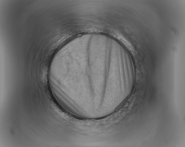 X0000112070009200908181230