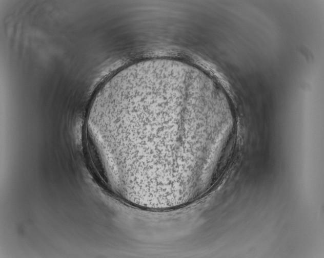 X0000112070010200908181230